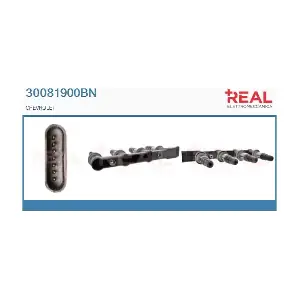 REAL 30081900BN