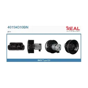 40194310BN REAL