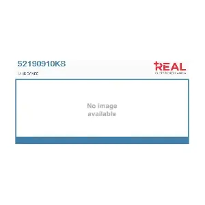 52190910KS REAL