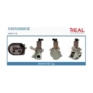 53053500OE REAL