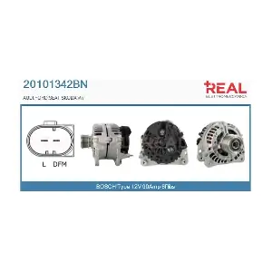 REAL 20101342BN