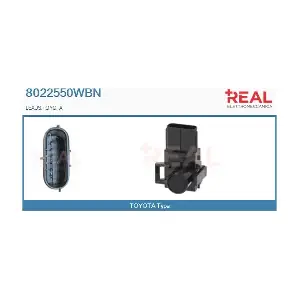 8022550WBN REAL