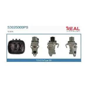 REAL 53025000PS