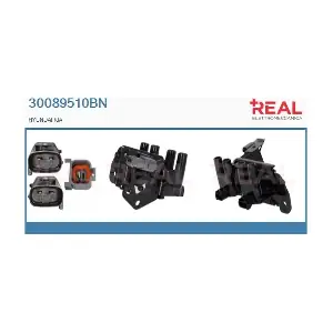 30089510BN REAL