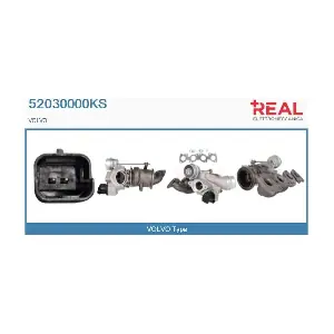 52030000 REAL