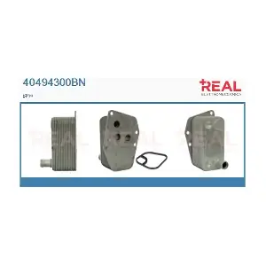 REAL 40494300BN