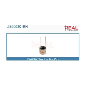 28509301BN REAL