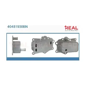 REAL 40481930BN