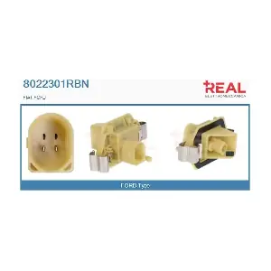 8022301RBN REAL