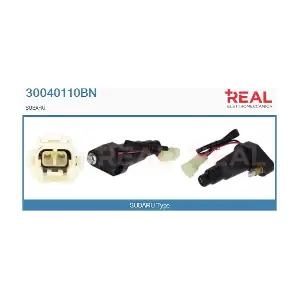 30040110BN REAL