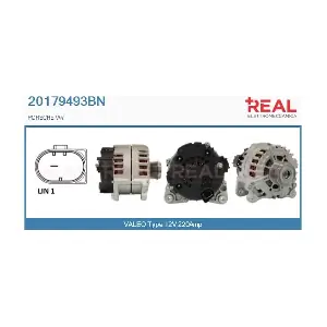 20179493BN REAL