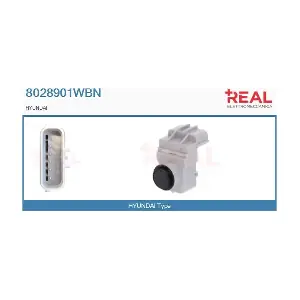 8028901WBN REAL