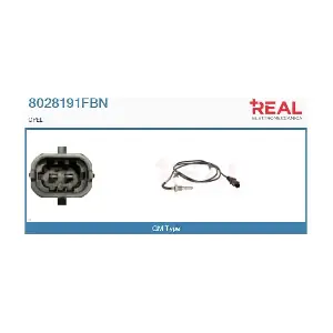 8028191FBN REAL