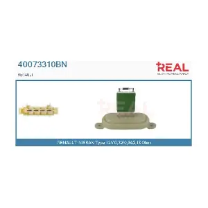 40073310BN REAL