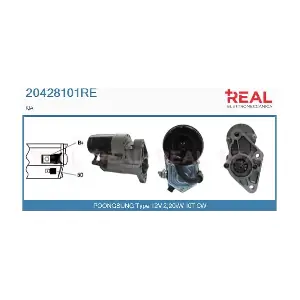 REAL 20428101RE