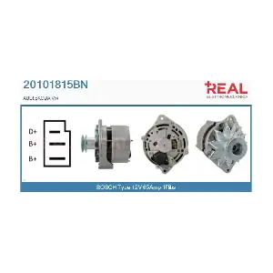 REAL 20101815BN