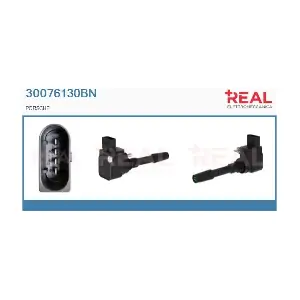 30076130BN REAL