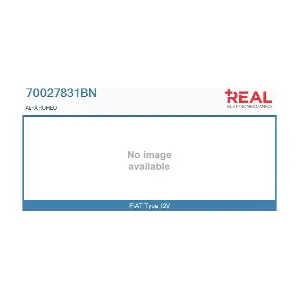 70027831BN REAL