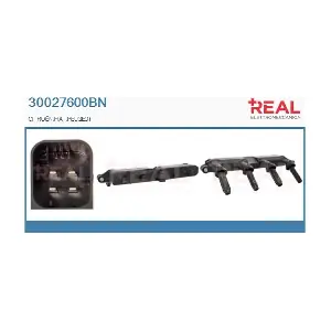 30027600BN REAL