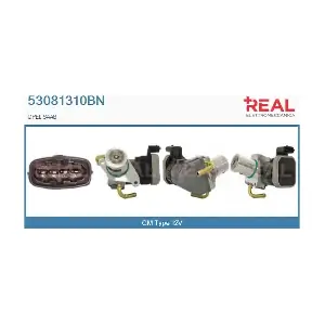 53081310BN REAL