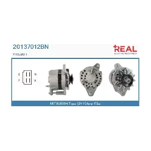REAL 20137012BN