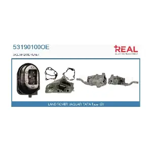 53190100OE REAL