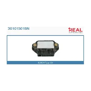 REAL 30101501BN