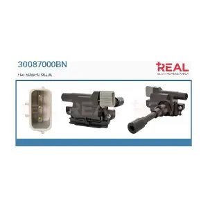 REAL 30087000BN