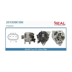 20193961BN REAL