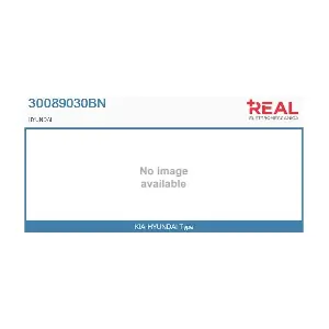 30089030BN REAL
