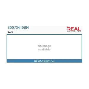 30073410BN REAL