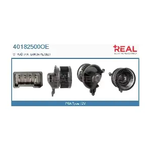 40182500OE REAL