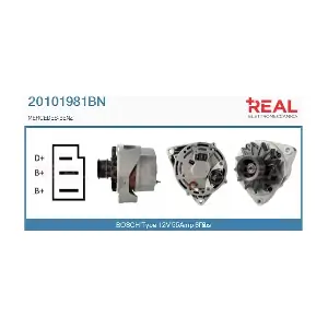 REAL 20101981BN