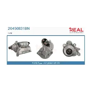 20450831BN REAL