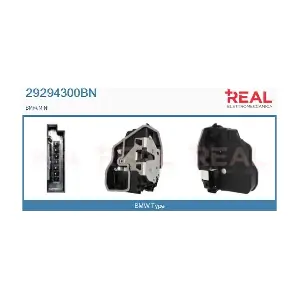 29294300BN REAL