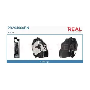 29294900BN REAL