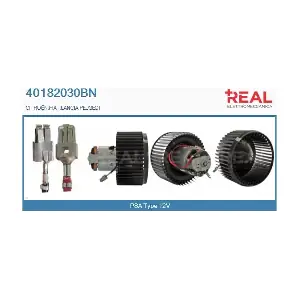 40182030BN REAL