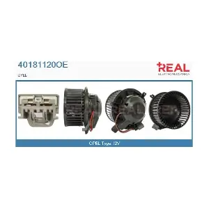 40181120OE REAL