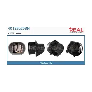 40182020BN REAL