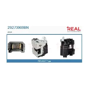 29273900BN REAL