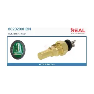 8020200HBN REAL