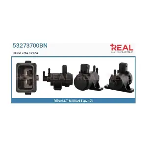 53273700BN REAL