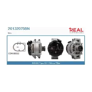 REAL 20132075BN