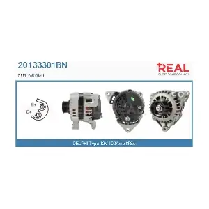 REAL 20133301BN