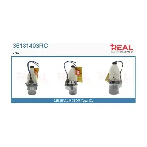 36181403RC REAL