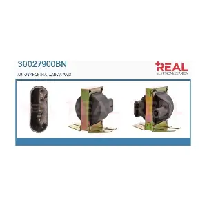 REAL 30027900BN