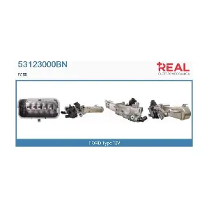 53123000BN REAL