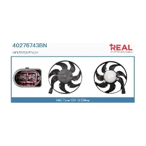 REAL 40276743BN