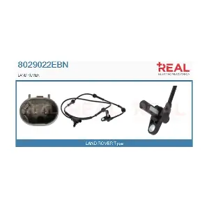 8029022EBN REAL
