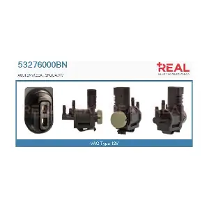 REAL 53276000BN
